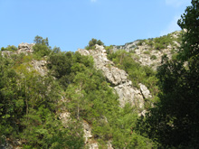 Enepia kanyon, Olimposz